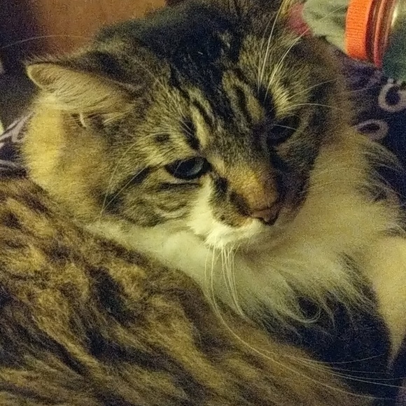 Meet your Posher, Kendra - Picture 1 of 1